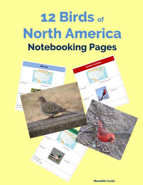 12 Birds of North America Notebooking Pages by Meredith Curtis