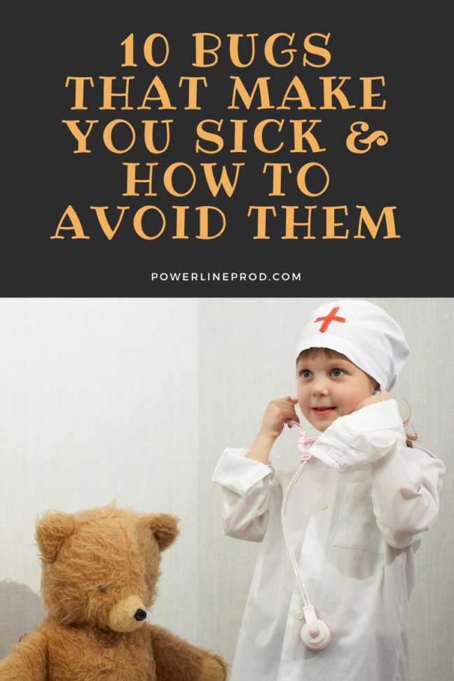 10 Bugs That Can Make You Sick & How To Avoid Them Powerline Productions