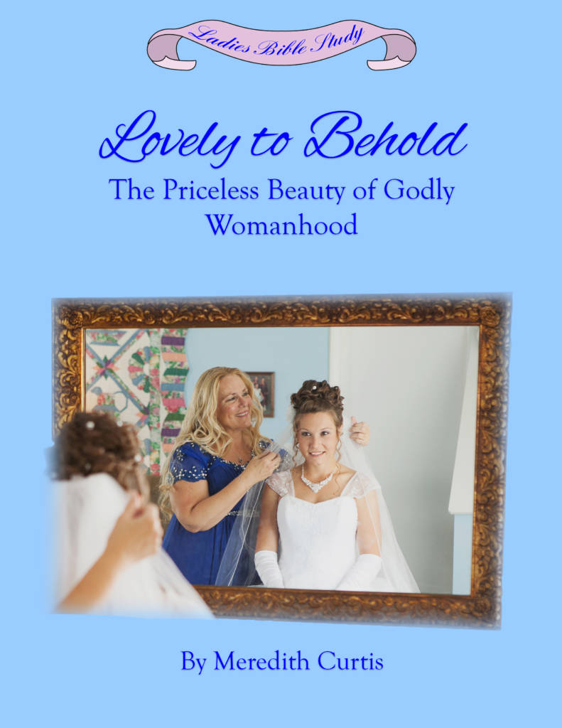 Lovely to Behold Bible Study by Meredith Curtis