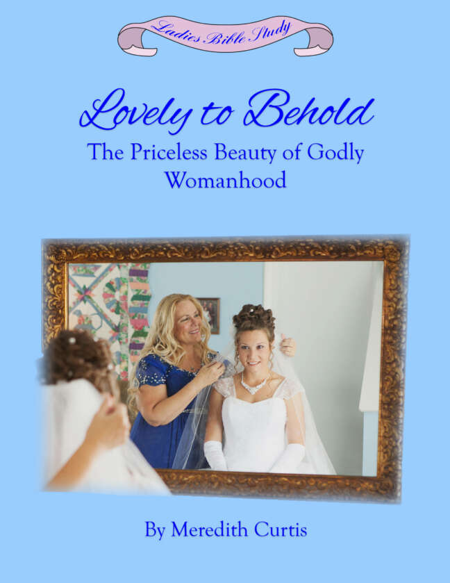 Lovely to Behold by Meredith Curtis