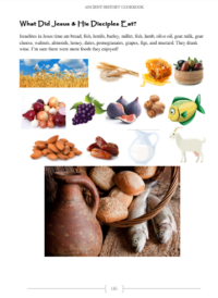 Ancient History Cookbook – Powerline Productions