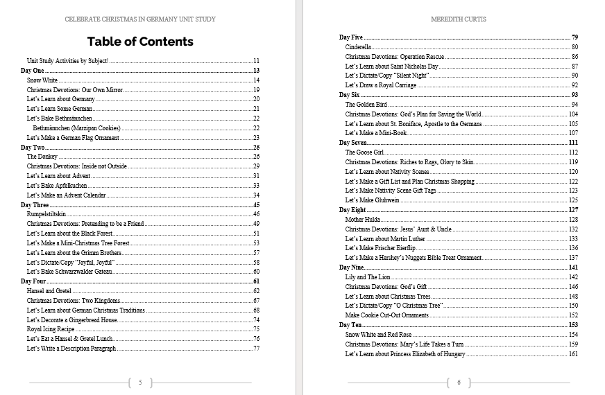 Celebrate Christmas in Germany Unit Study - Image 6