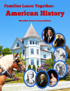 American History by Meredith Curtis