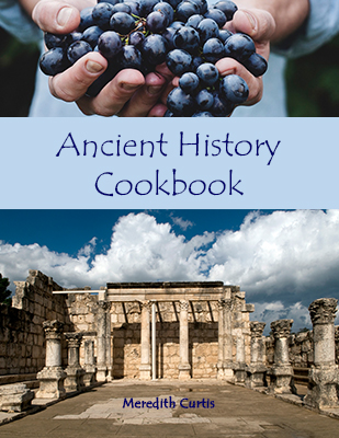 Ancient History Cookbook by Meredith Curtis