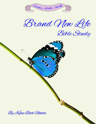 Brand New Life by Katie Beth Nolette