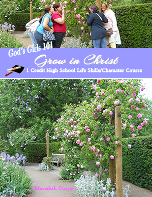 God's Girls 101: Grow in Christ by Meredith Curtis