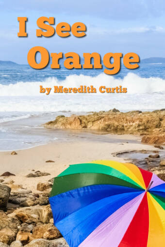 I See Orange by Meredith Curtis