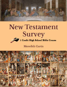New Testament Survey by Meredith Curtis