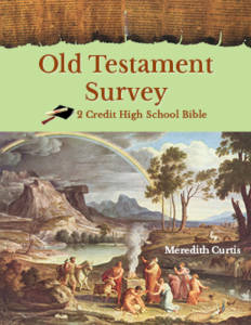 Old Testament Survey by Meredith Curtis