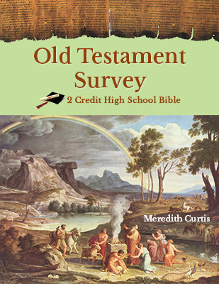 Old Testament Survey by Meredith Curtis