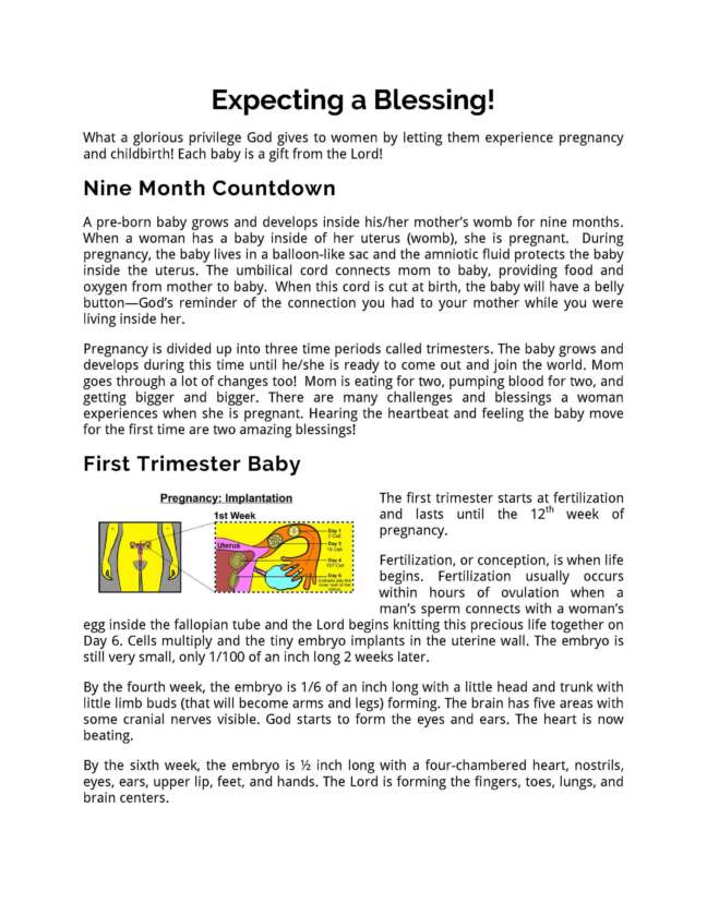 God's Girls 104: Motherhood - Image 4