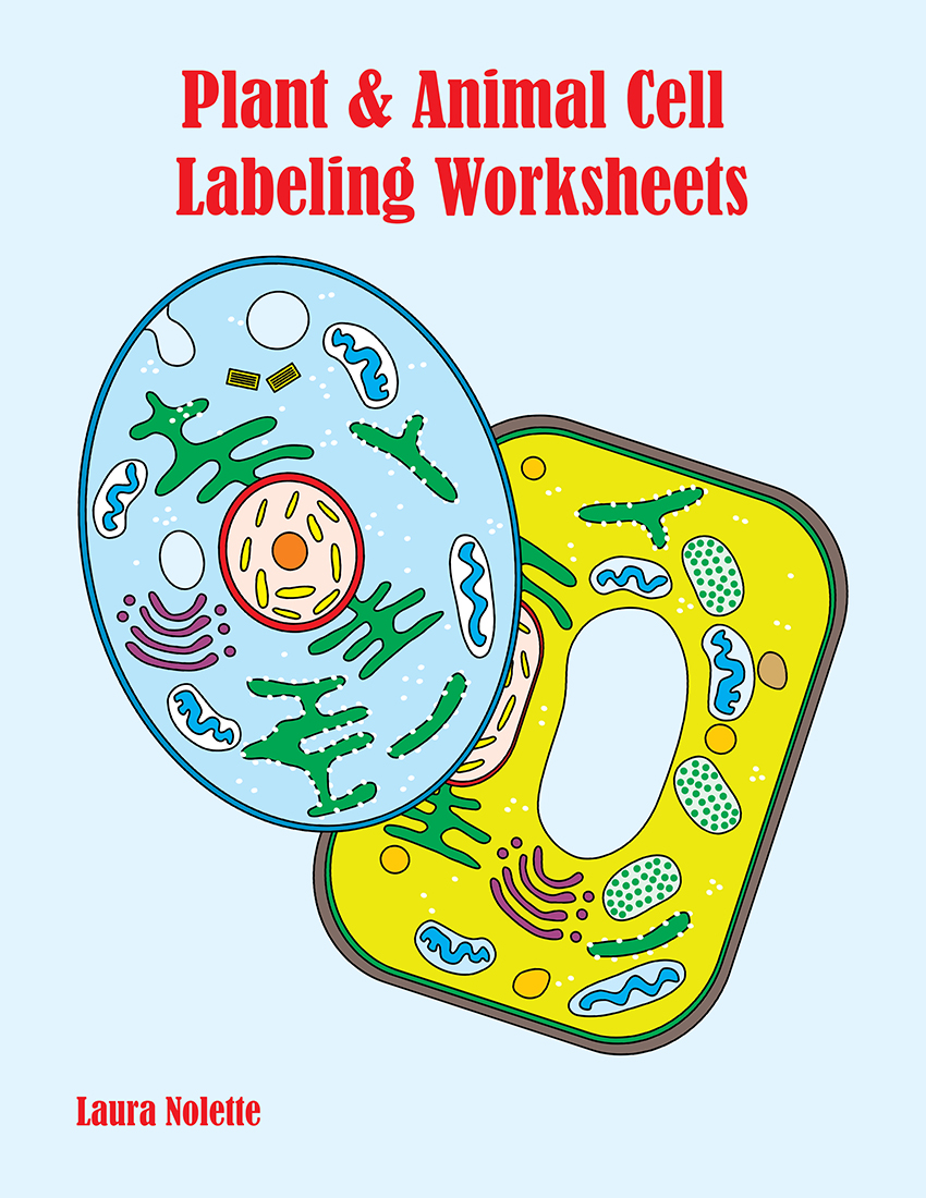 Plant & Animal Cell Labeling Worksheets Pertaining To Animal Cells Coloring Worksheet