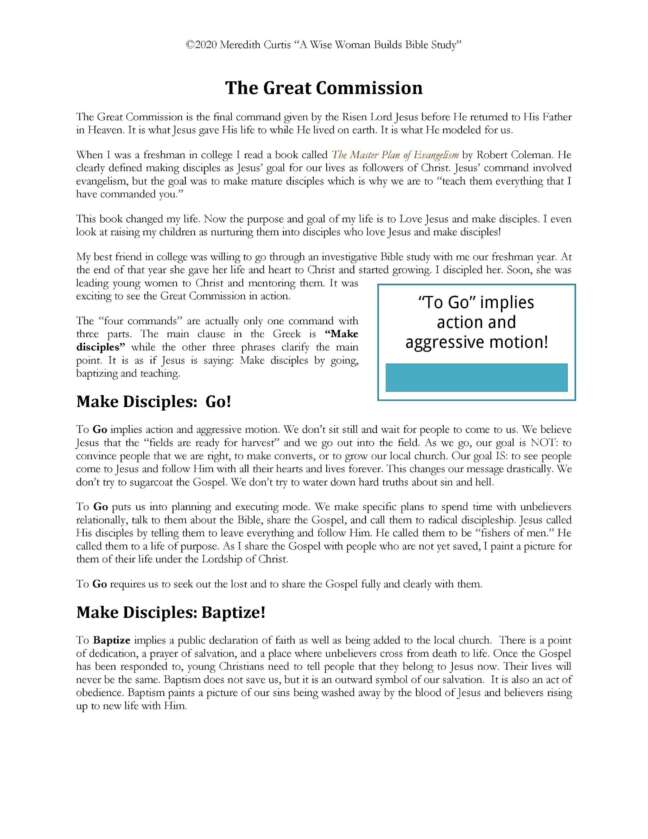 A Wise Woman Builds Bible Study - Image 3