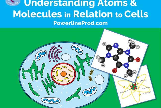 Understanding Atoms & Molecules in Relation to Cells