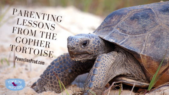 Parenting Lessons from the Gopher Tortoise