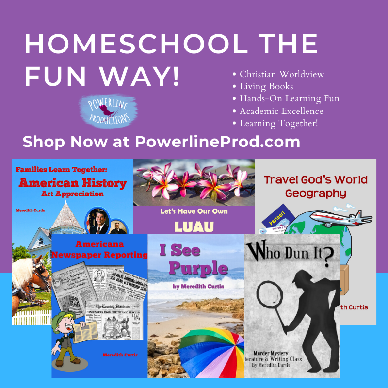 Homeschool the Fun Way PLP Ad