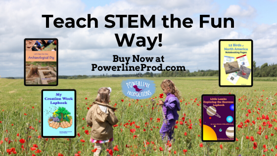 PLP Ad Teach Stem the Fun Way blog