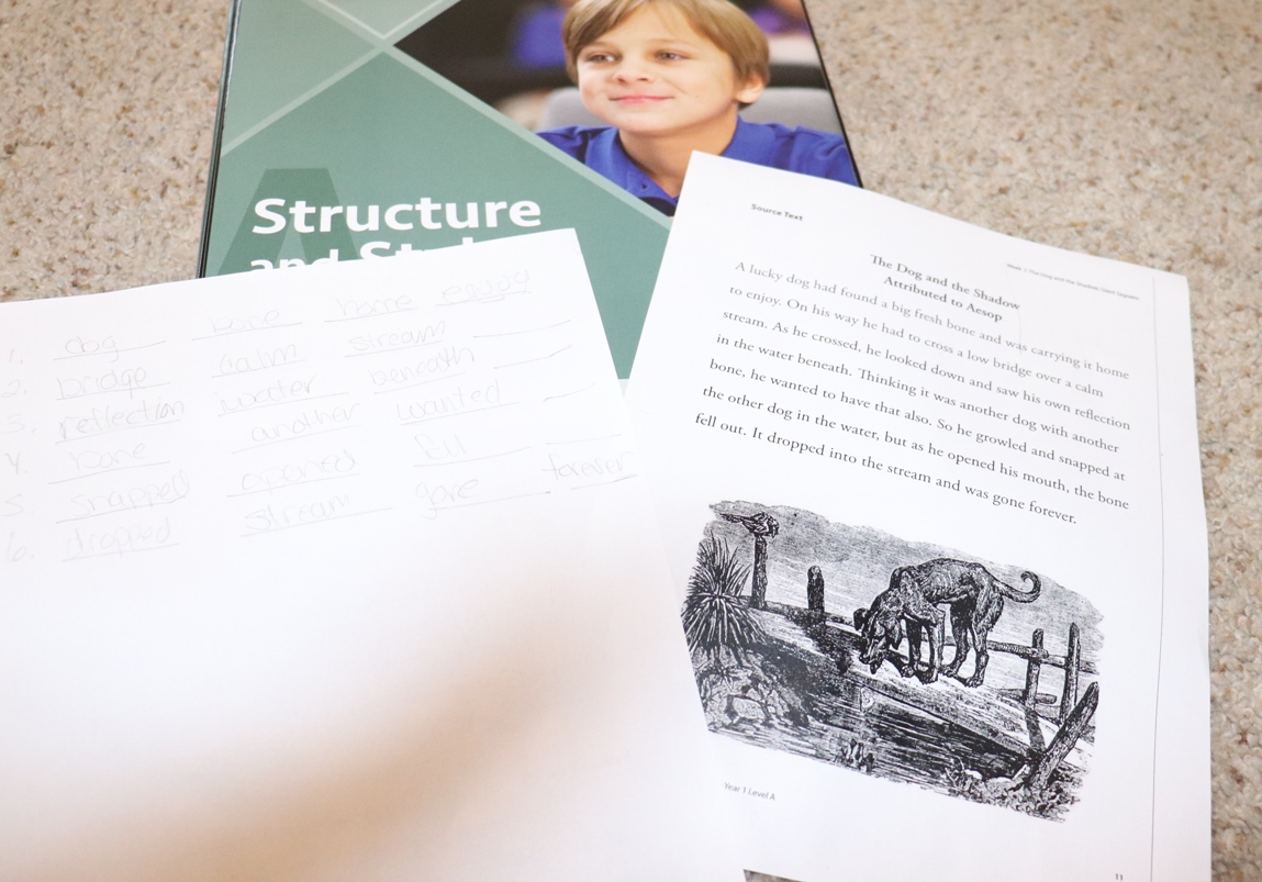 Review of iew structure style 1a powerline productions