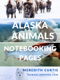 Alaska Animals Notebooking Pages