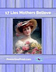 17 Lies Mothers Believe by Meredith Curtis