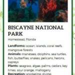 God Bless the USA National Parks Fact Cards - Image 4