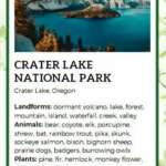 God Bless the USA National Parks Fact Cards - Image 3