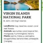 God Bless the USA National Parks Fact Cards - Image 7