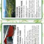 God Bless the USA National Parks Fact Cards - Image 6