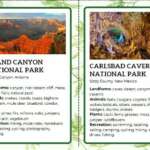 God Bless the USA National Parks Fact Cards - Image 5