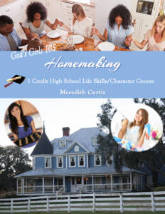 God's Girls 105: Homemaking by Meredith Curtis