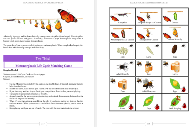 Science Exploration in Creation Week - Image 7