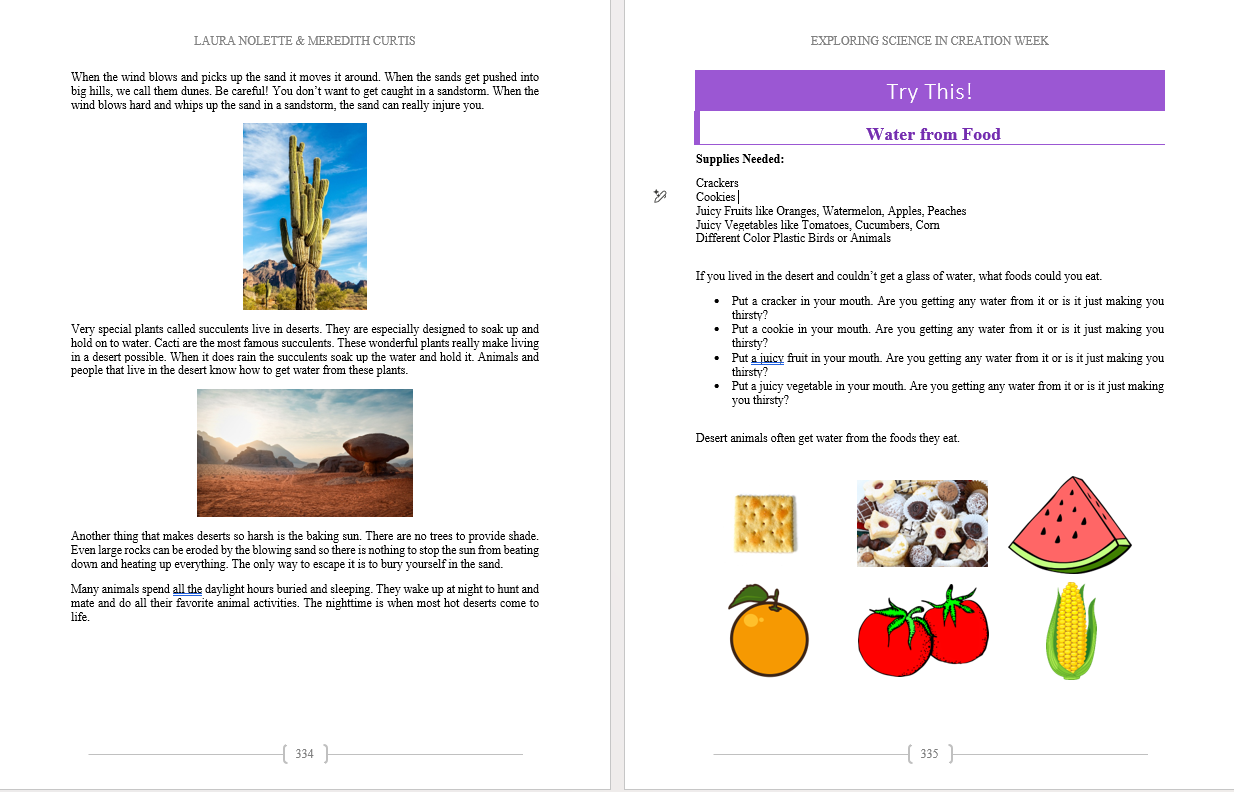 Science Exploration in Creation Week - Image 8