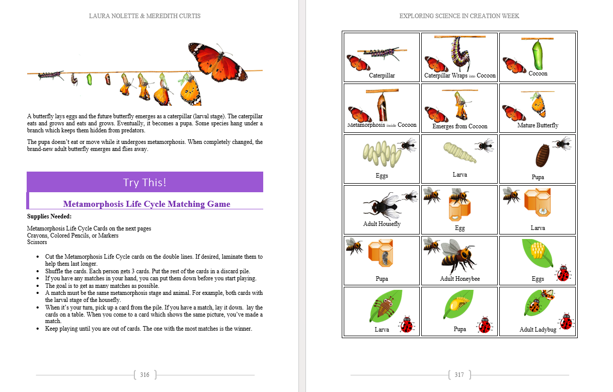 Science Exploration in Creation Week - Image 6