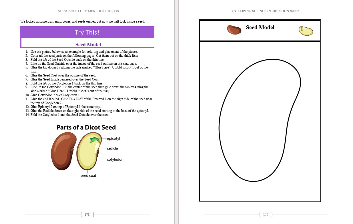Science Exploration in Creation Week - Image 5