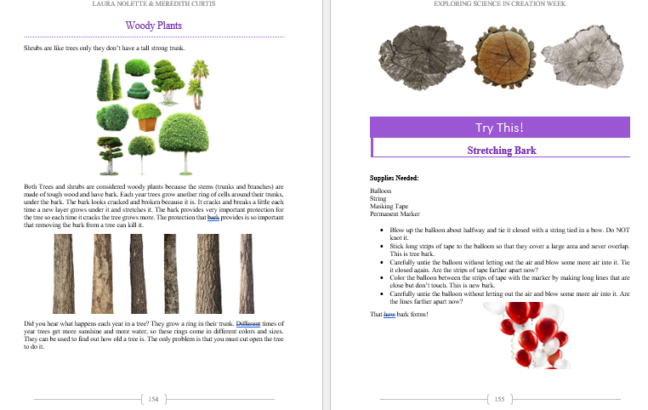 Science Exploration in Creation Week - Image 5